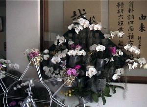 www ibara minami okayama c ed jp